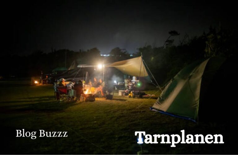 Tarnplanen
